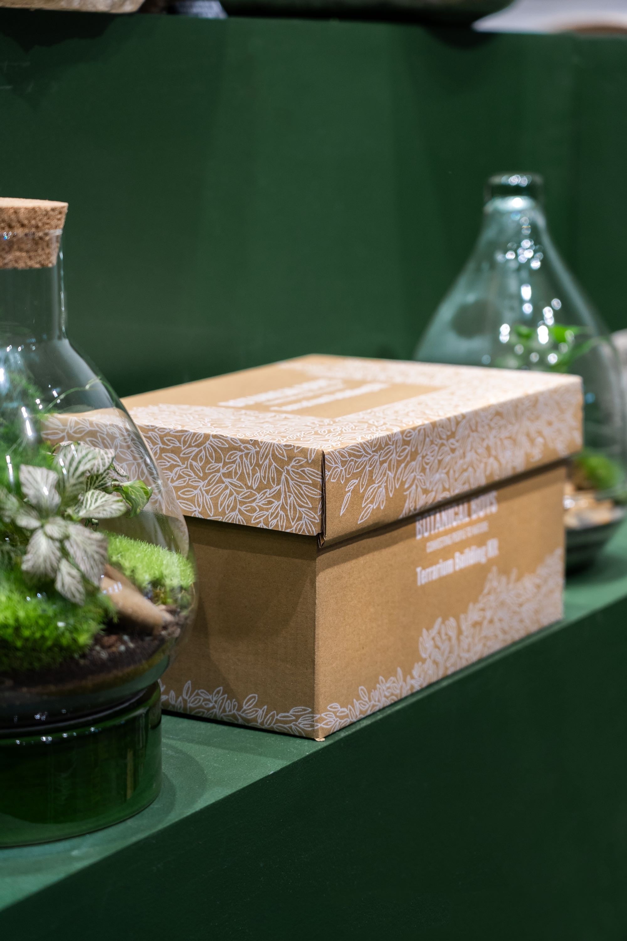 Slim Cork Jar terrarium kit
