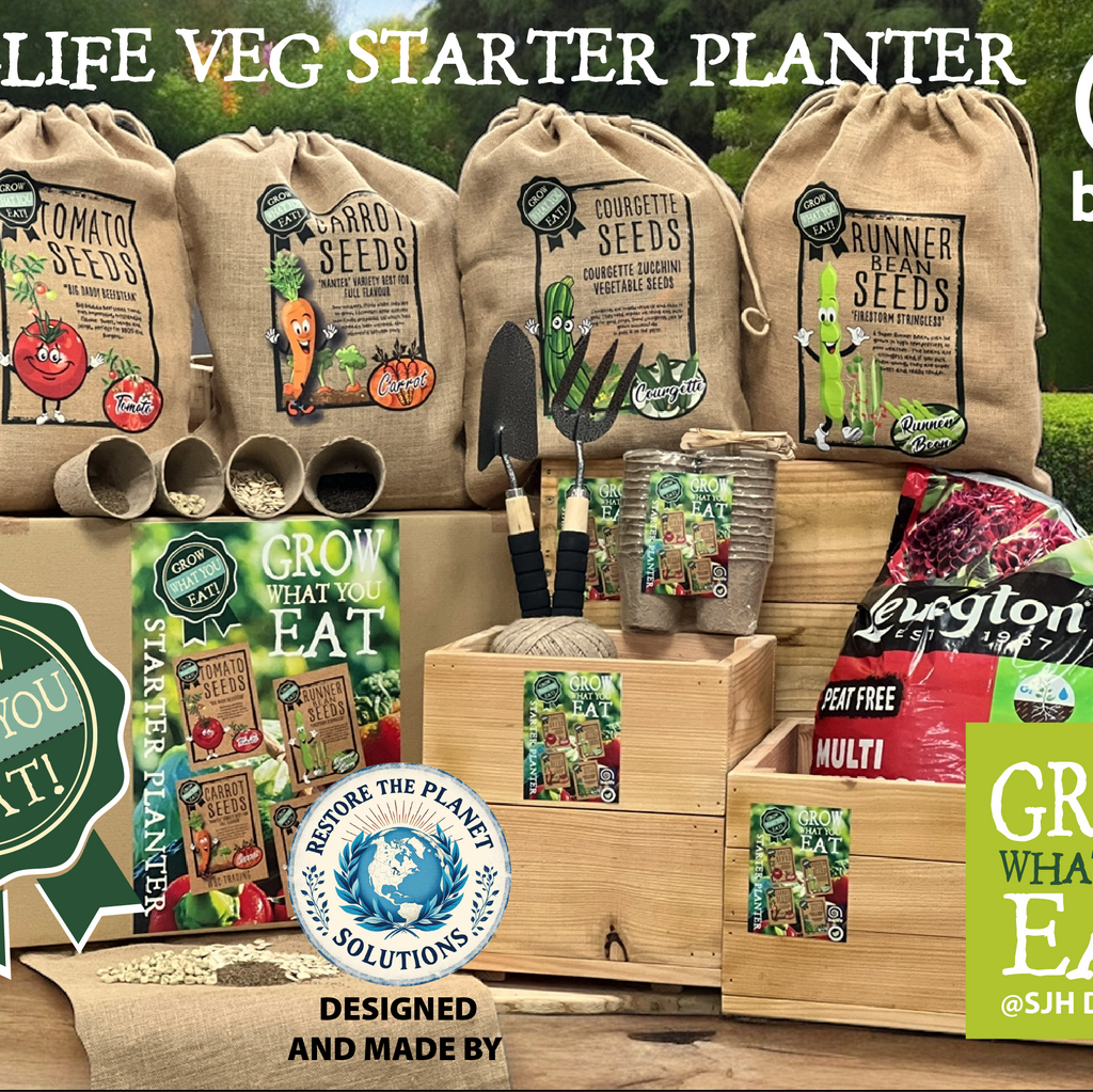 Schools Vegetable Starter Planter Set