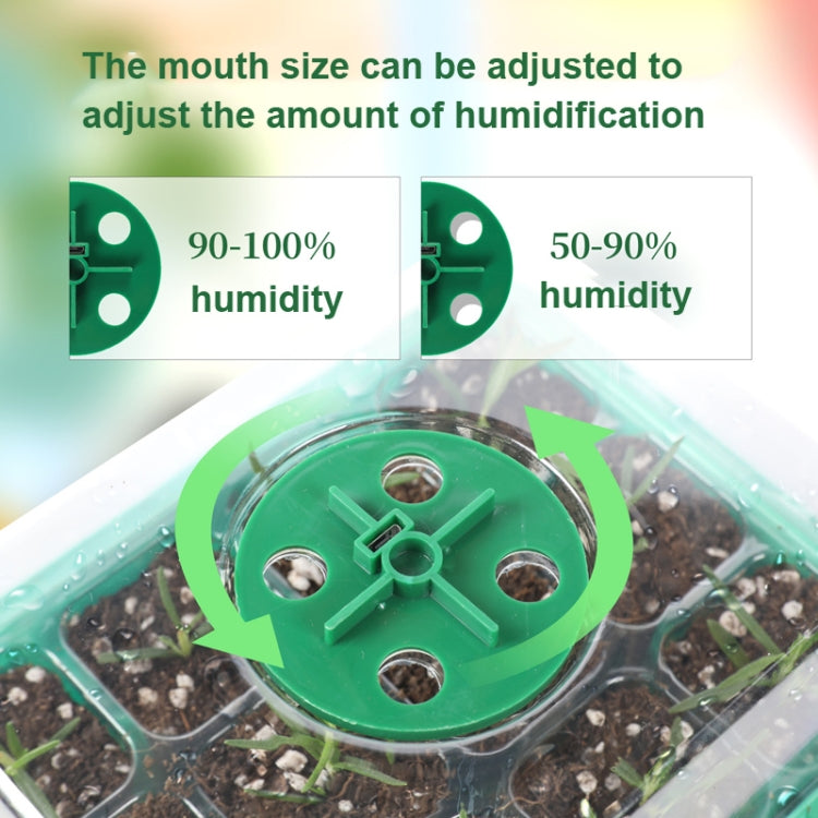 Seed Starter Tray Kit with Grow Light – Set of 5
