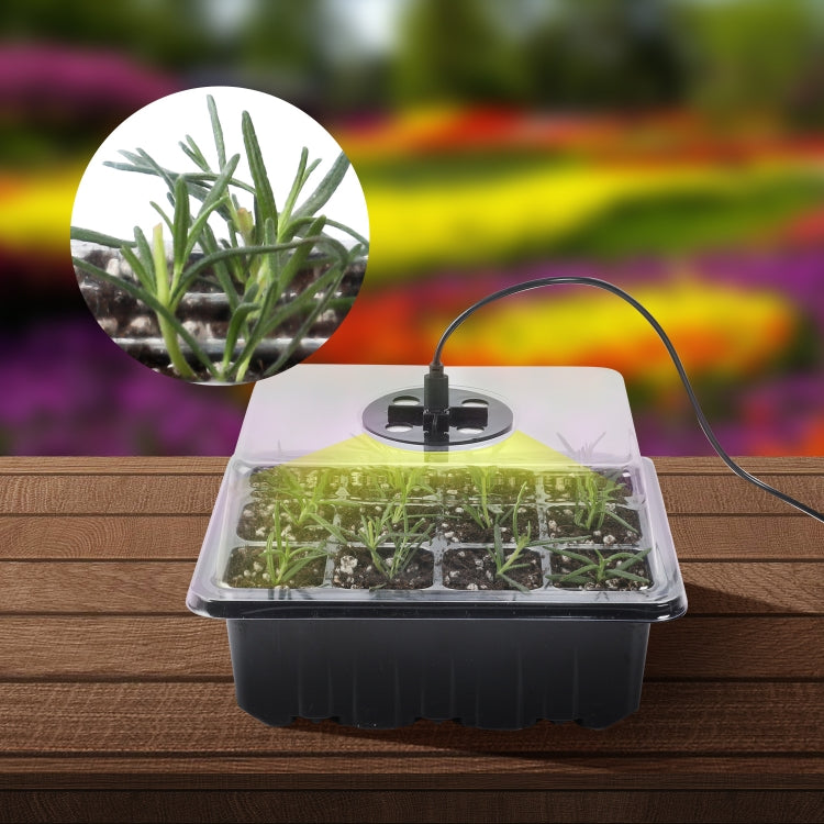 Seed Starter Tray Kit with Grow Light – Set of 5