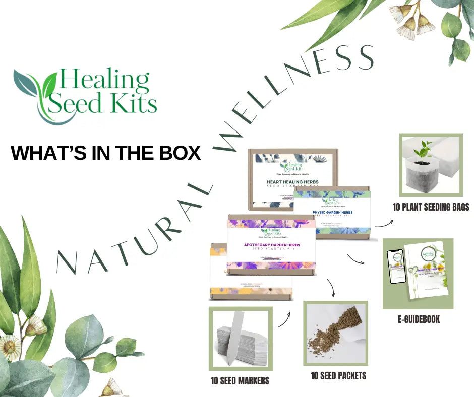Apothecary Seed Kit – 10 Medicinal Herbs & Teas