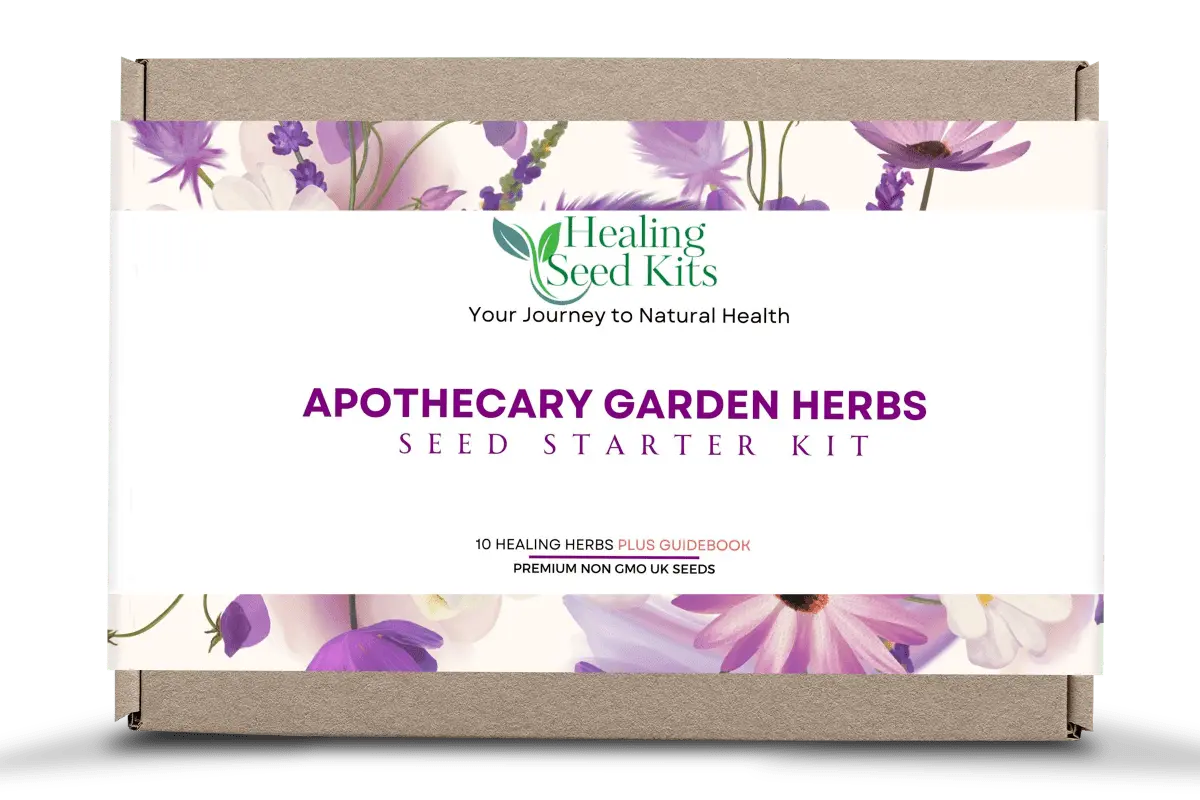 Apothecary Seed Kit – 10 Medicinal Herbs & Teas
